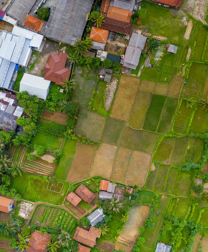 pexels-photo-1824577-1824577 Drone shot capturing lush paddy fields and buildings in rural Indonesia, showcasing vibrant agriculture.