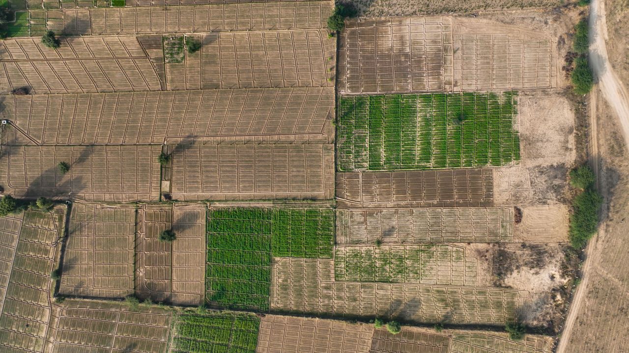 Aerial view showcasing intricate patterns of agricultural farmland with varied colors.